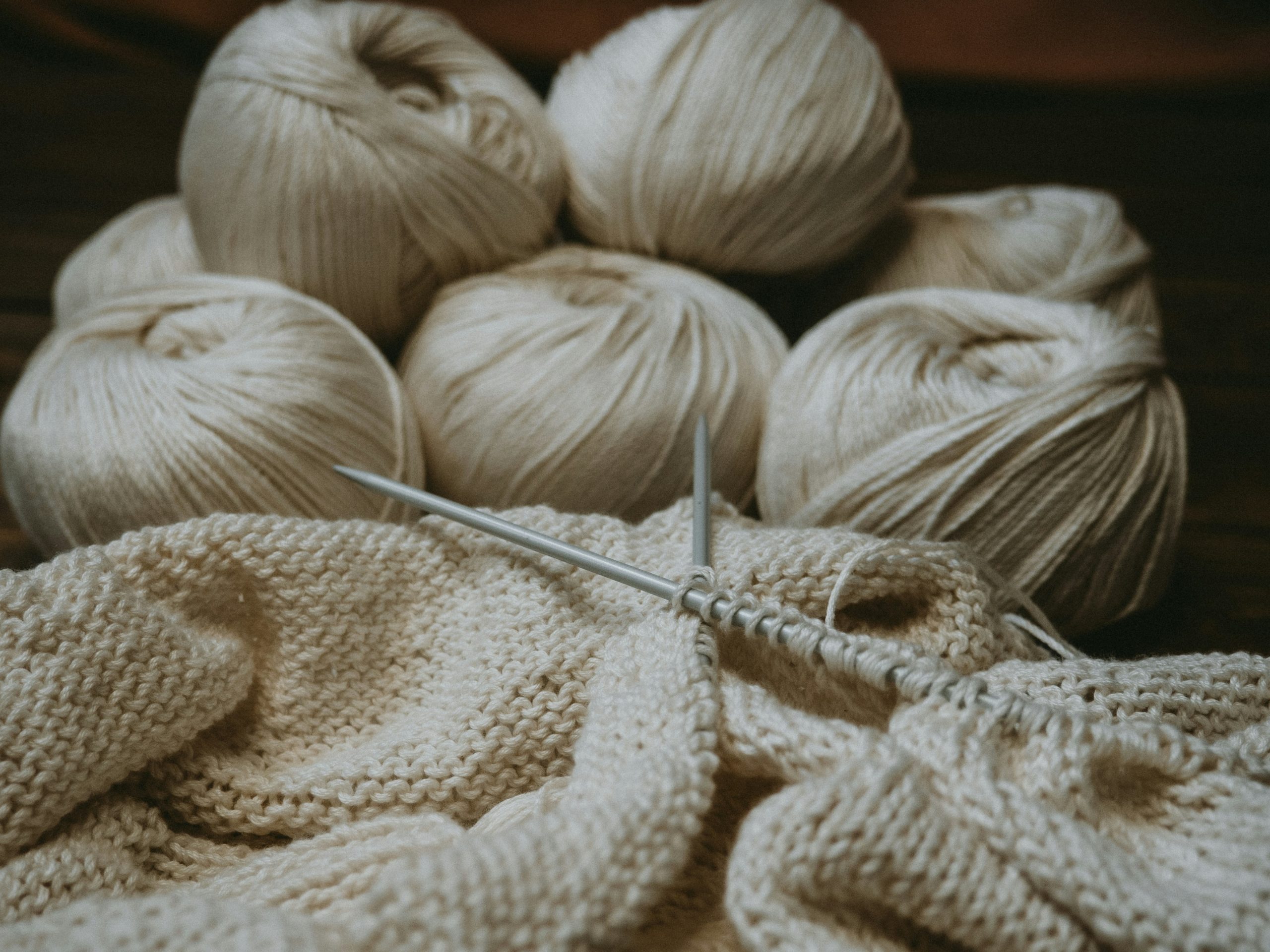 anastasia-zhenina-mahjS9zuKRE-unsplash