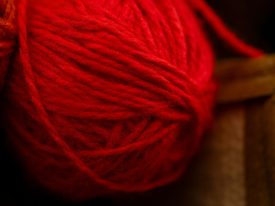 engin-akyurt-IuAWkd2hHwg-unsplash